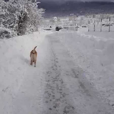 Gasthof Il Grottino Di *
