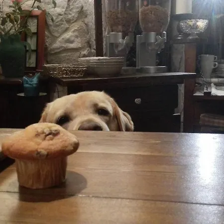 Il Grottino Di Pensjonat 3*