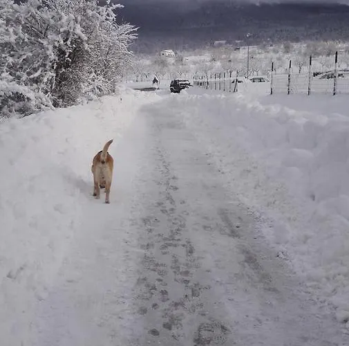 Penzion Il Grottino Di 3*