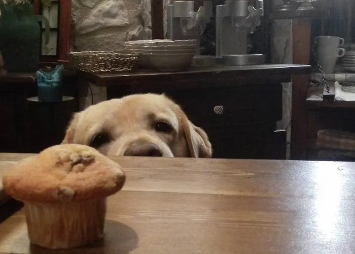 Il Grottino Di Penzion 3*